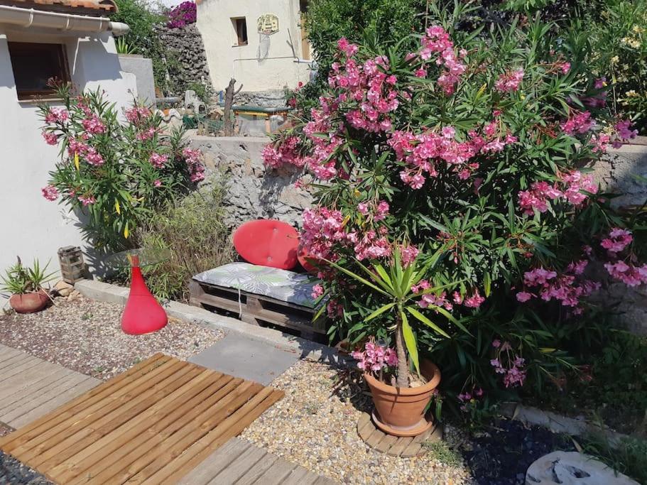 Haut De Villa Au Mont St Clair Vue Exceptionnelle Mer Et Foret Terrasses, Piscine, Petanque, Solarium Prives Sète Exterior foto